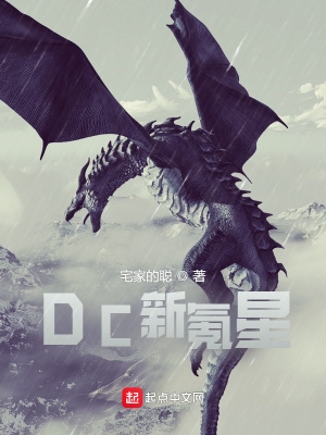 dc新氪星txt下载